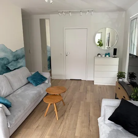 Apartament Bursztynovy Nr 9 *