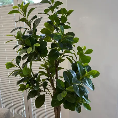 Bursztynovy Nr 9 Apartament *